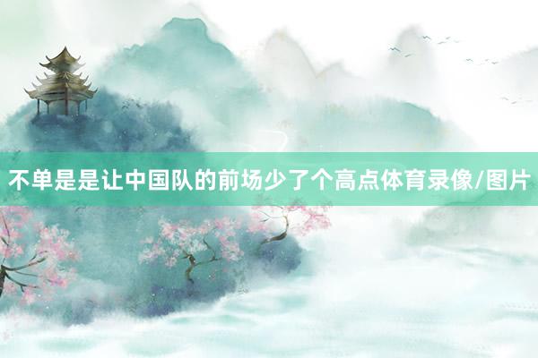 不单是是让中国队的前场少了个高点体育录像/图片