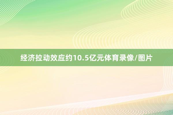 经济拉动效应约10.5亿元体育录像/图片