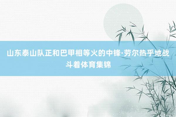 山东泰山队正和巴甲相等火的中锋·劳尔热乎地战斗着体育集锦
