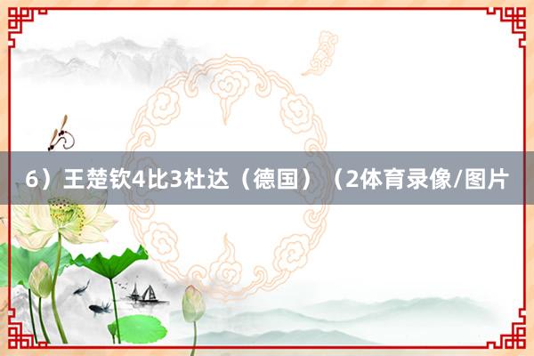6）王楚钦4比3杜达（德国）（2体育录像/图片