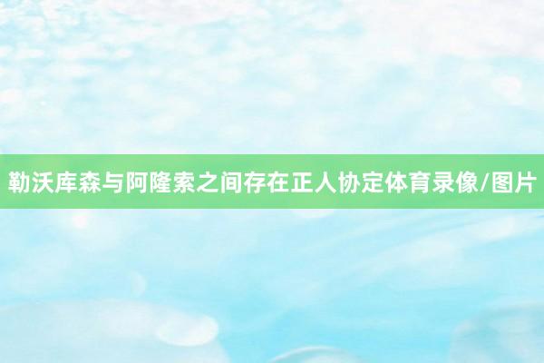 勒沃库森与阿隆索之间存在正人协定体育录像/图片