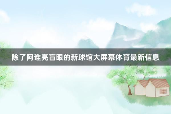 除了阿谁亮盲眼的新球馆大屏幕体育最新信息