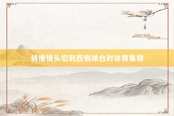 转播镜头切到西侧球台时体育集锦