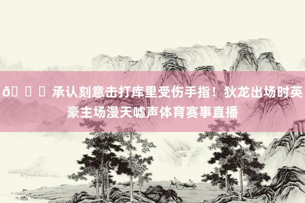 👀承认刻意击打库里受伤手指！狄龙出场时英豪主场漫天嘘声体育赛事直播