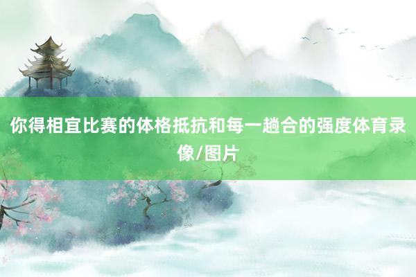 你得相宜比赛的体格抵抗和每一趟合的强度体育录像/图片