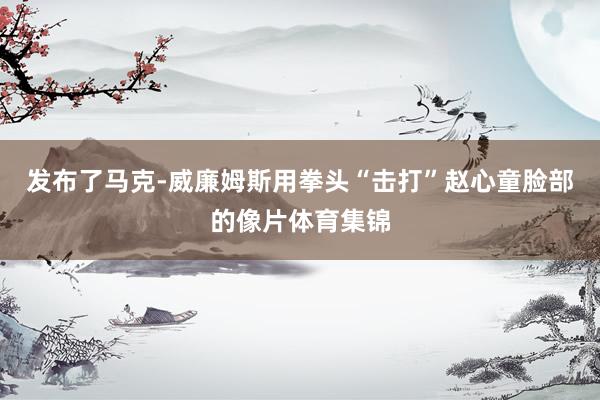 发布了马克-威廉姆斯用拳头“击打”赵心童脸部的像片体育集锦