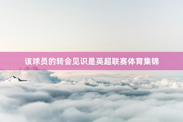 该球员的转会见识是英超联赛体育集锦