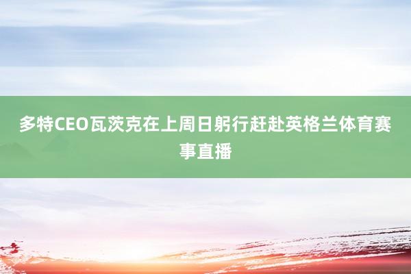 多特CEO瓦茨克在上周日躬行赶赴英格兰体育赛事直播