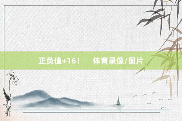 正负值+16！    体育录像/图片