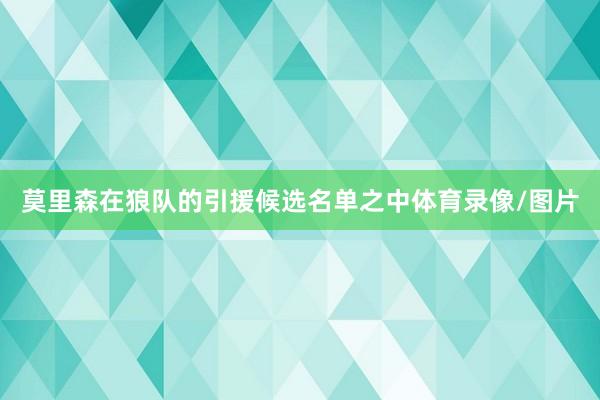 莫里森在狼队的引援候选名单之中体育录像/图片