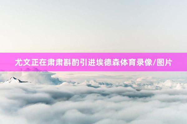 尤文正在肃肃斟酌引进埃德森体育录像/图片