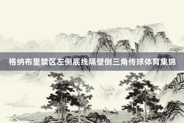格纳布里禁区左侧底线隔壁倒三角传球体育集锦