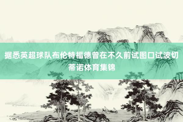 据悉英超球队布伦特福德曾在不久前试图口试波切蒂诺体育集锦