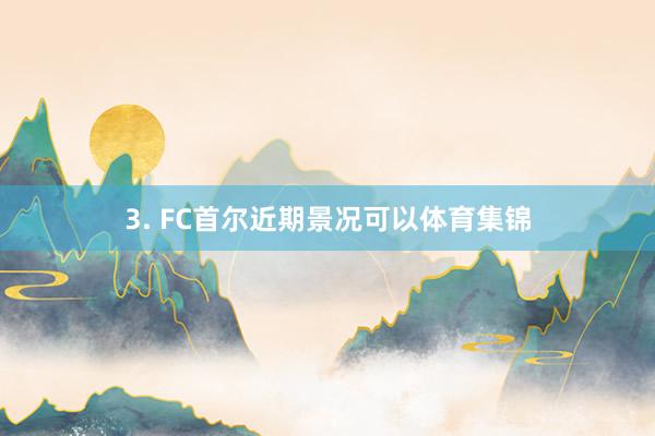3. FC首尔近期景况可以体育集锦
