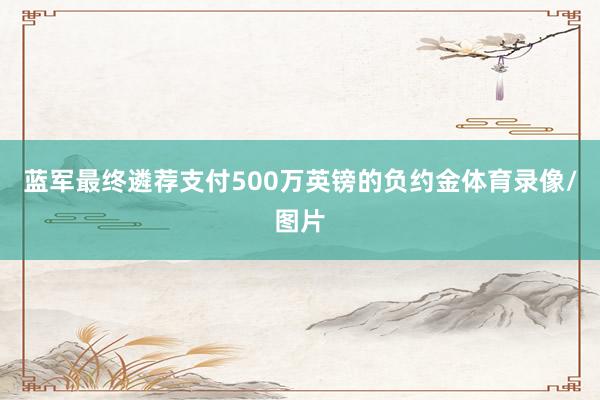 蓝军最终遴荐支付500万英镑的负约金体育录像/图片