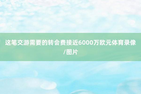 这笔交游需要的转会费接近6000万欧元体育录像/图片