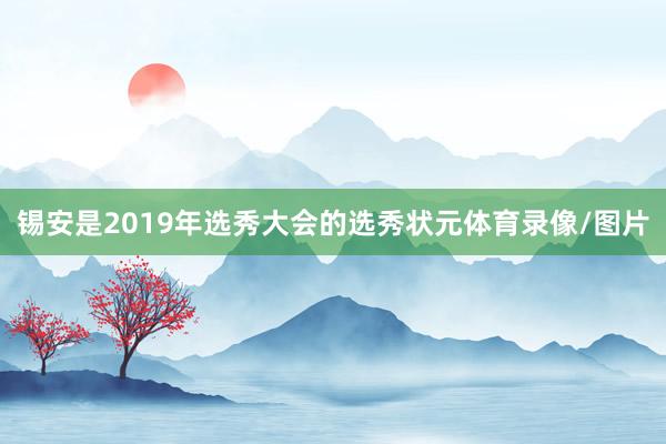 锡安是2019年选秀大会的选秀状元体育录像/图片