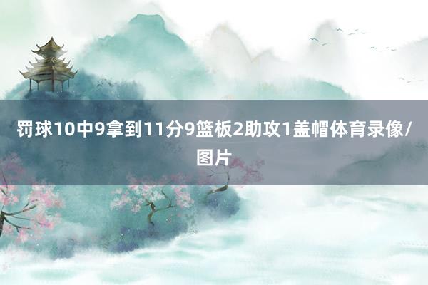 罚球10中9拿到11分9篮板2助攻1盖帽体育录像/图片