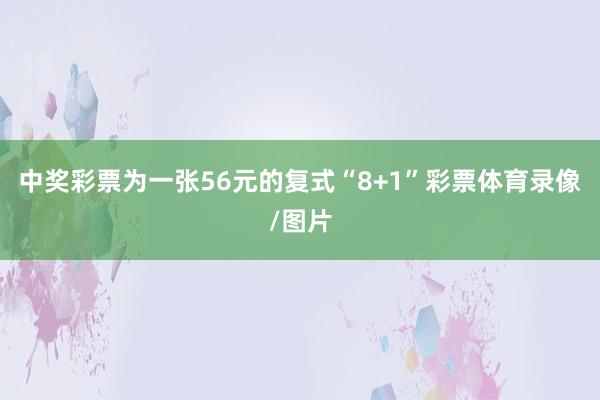 中奖彩票为一张56元的复式“8+1”彩票体育录像/图片