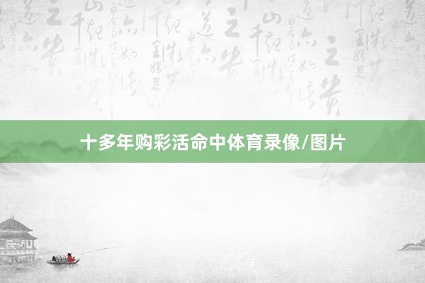 十多年购彩活命中体育录像/图片