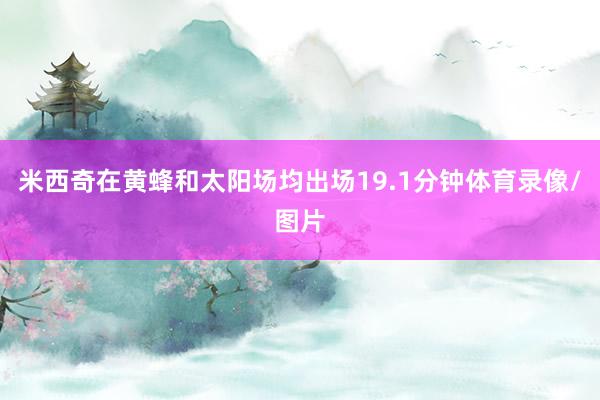 米西奇在黄蜂和太阳场均出场19.1分钟体育录像/图片