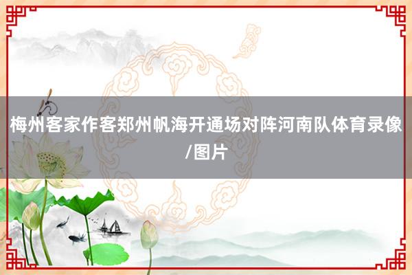 梅州客家作客郑州帆海开通场对阵河南队体育录像/图片
