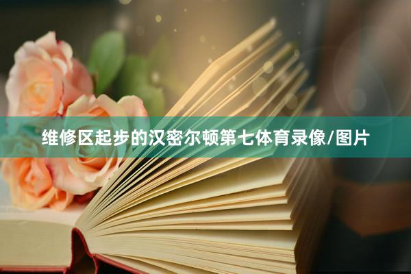 维修区起步的汉密尔顿第七体育录像/图片
