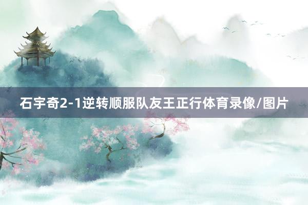 石宇奇2-1逆转顺服队友王正行体育录像/图片