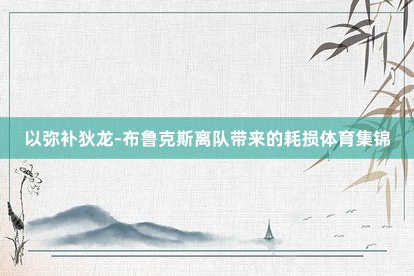 以弥补狄龙-布鲁克斯离队带来的耗损体育集锦