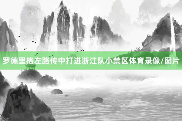 罗德里格左路传中打进浙江队小禁区体育录像/图片