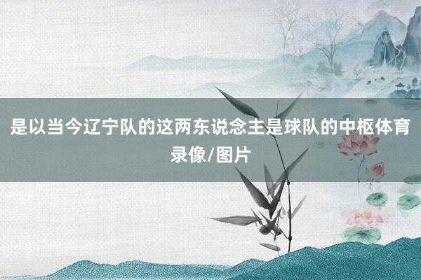 是以当今辽宁队的这两东说念主是球队的中枢体育录像/图片