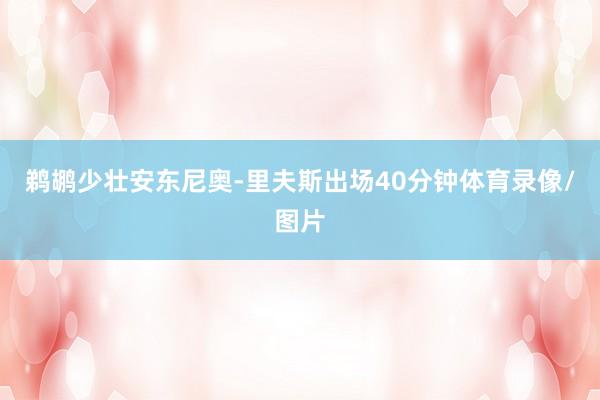 鹈鹕少壮安东尼奥-里夫斯出场40分钟体育录像/图片