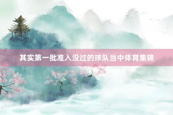 其实第一批准入没过的球队当中体育集锦