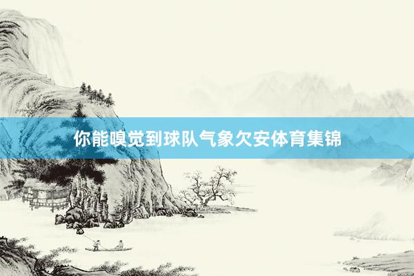 你能嗅觉到球队气象欠安体育集锦