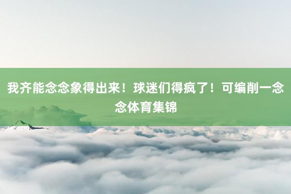 我齐能念念象得出来！球迷们得疯了！可编削一念念体育集锦