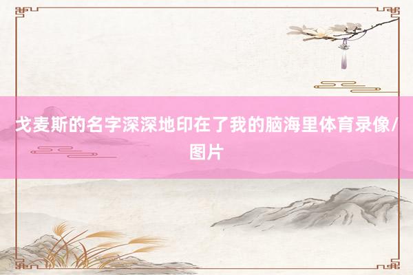 戈麦斯的名字深深地印在了我的脑海里体育录像/图片