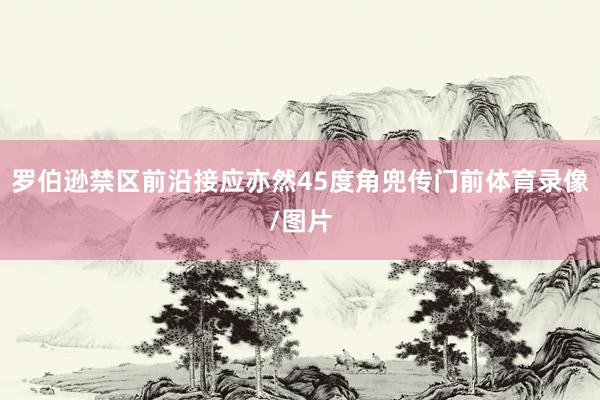 罗伯逊禁区前沿接应亦然45度角兜传门前体育录像/图片