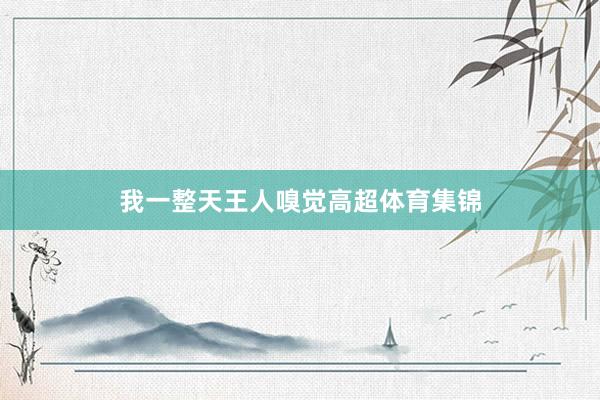 我一整天王人嗅觉高超体育集锦