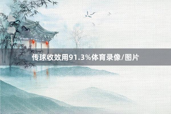 传球收效用91.3%体育录像/图片