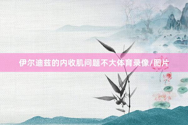 伊尔迪兹的内收肌问题不大体育录像/图片