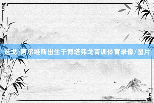 迭戈-阿尔维斯出生于博塔弗戈青训体育录像/图片