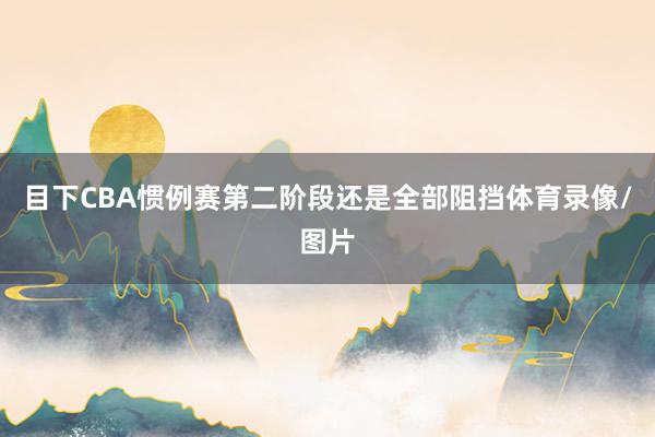 目下CBA惯例赛第二阶段还是全部阻挡体育录像/图片