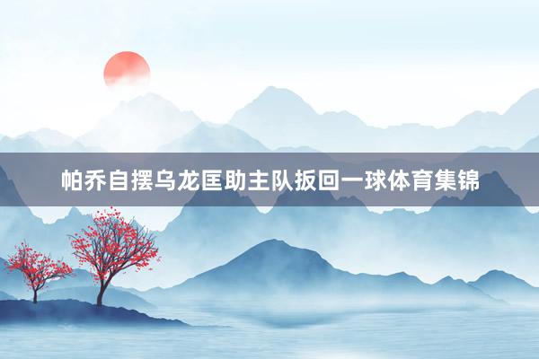 帕乔自摆乌龙匡助主队扳回一球体育集锦