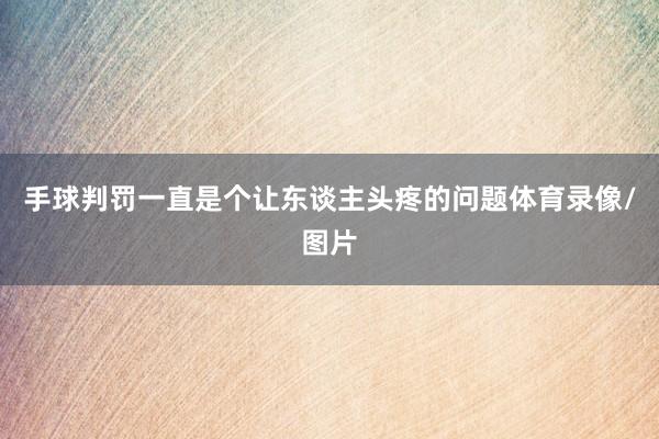 手球判罚一直是个让东谈主头疼的问题体育录像/图片