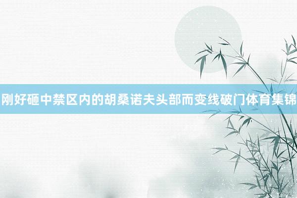 刚好砸中禁区内的胡桑诺夫头部而变线破门体育集锦