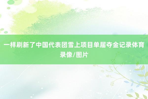 一样刷新了中国代表团雪上项目单届夺金记录体育录像/图片