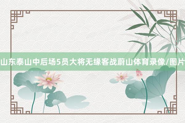 山东泰山中后场5员大将无缘客战蔚山体育录像/图片