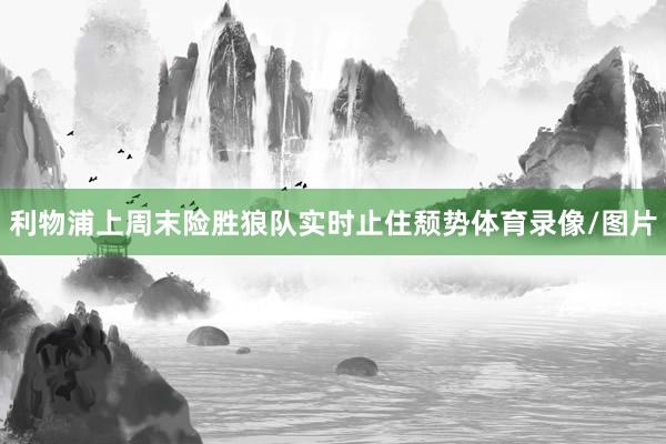 利物浦上周末险胜狼队实时止住颓势体育录像/图片