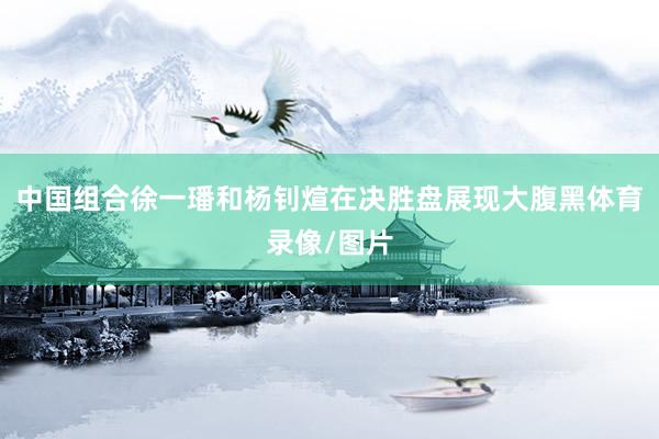 中国组合徐一璠和杨钊煊在决胜盘展现大腹黑体育录像/图片