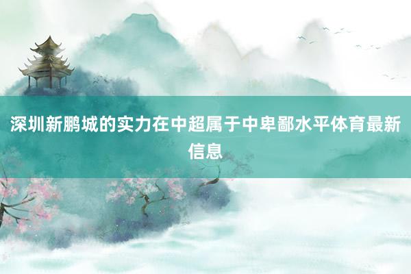 深圳新鹏城的实力在中超属于中卑鄙水平体育最新信息